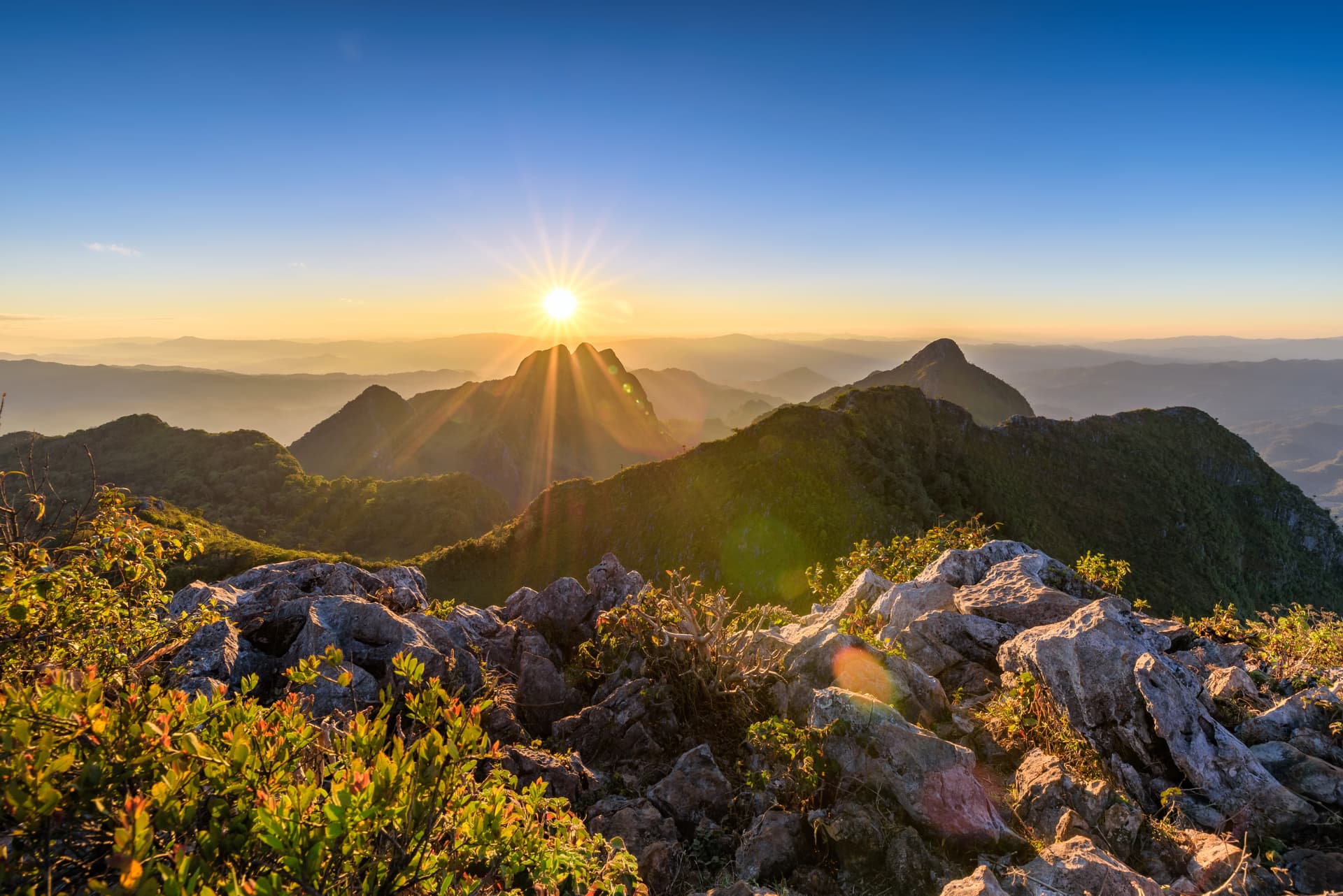 Jour 8