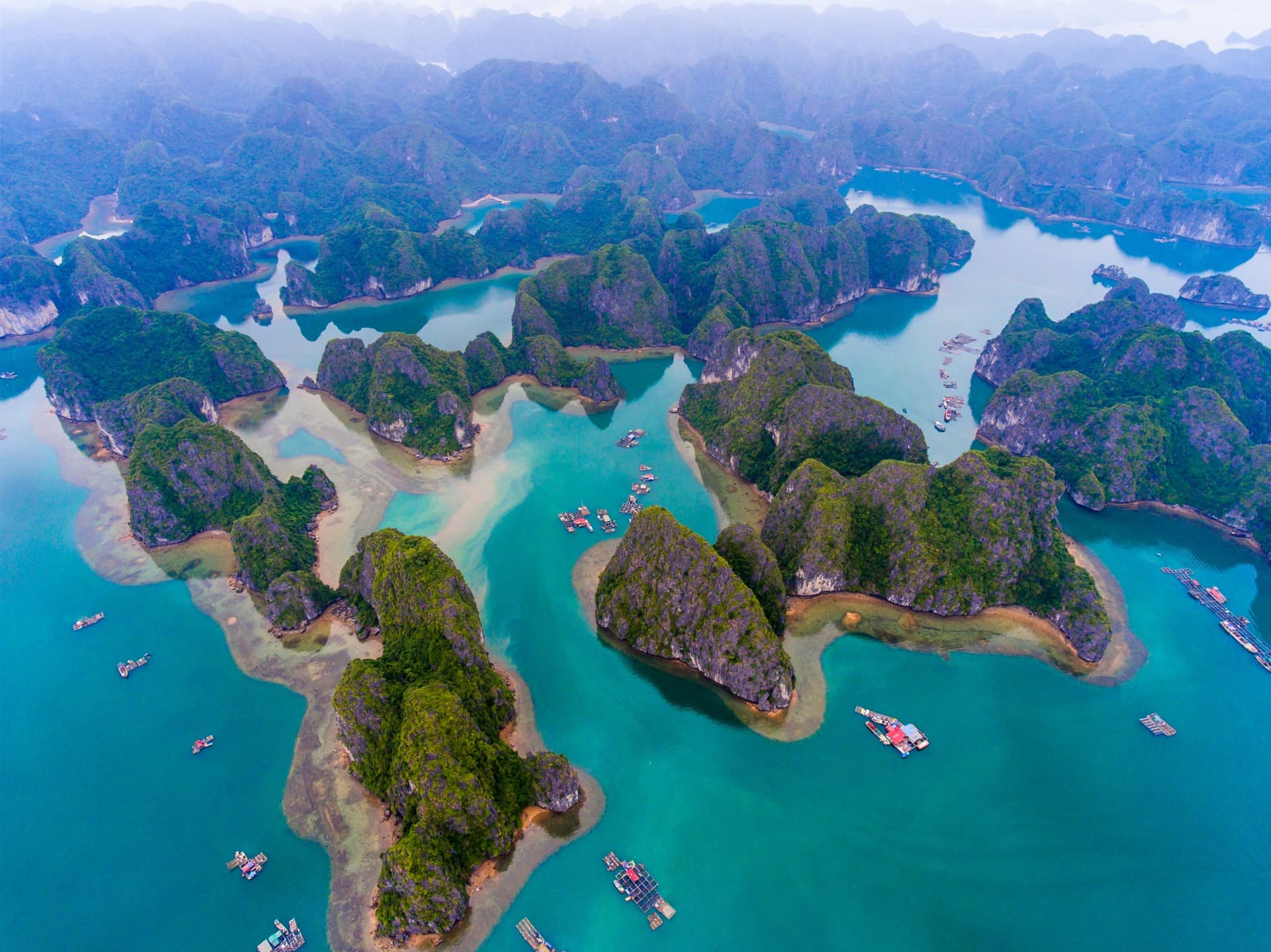 Cát Bà: Development and Preservation of the Biosphere
