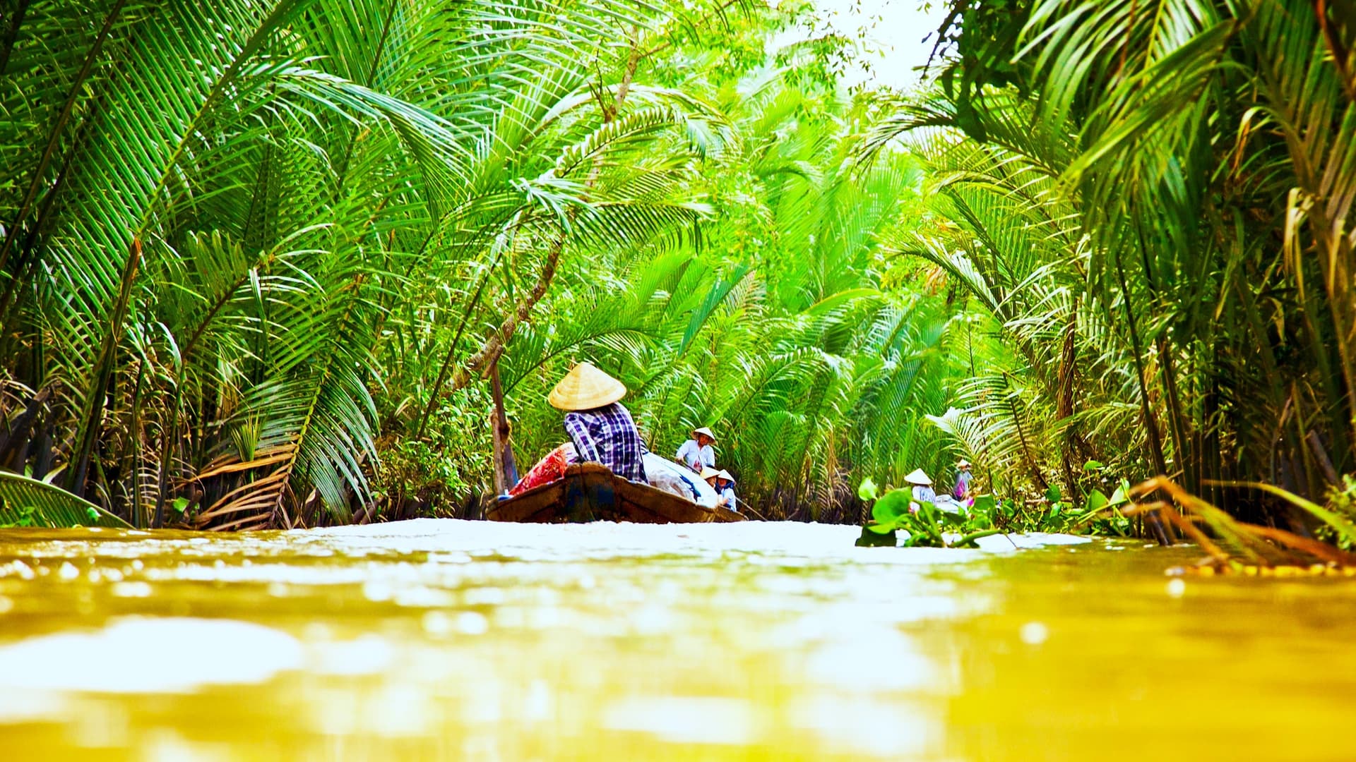 The South and Mekong Delta