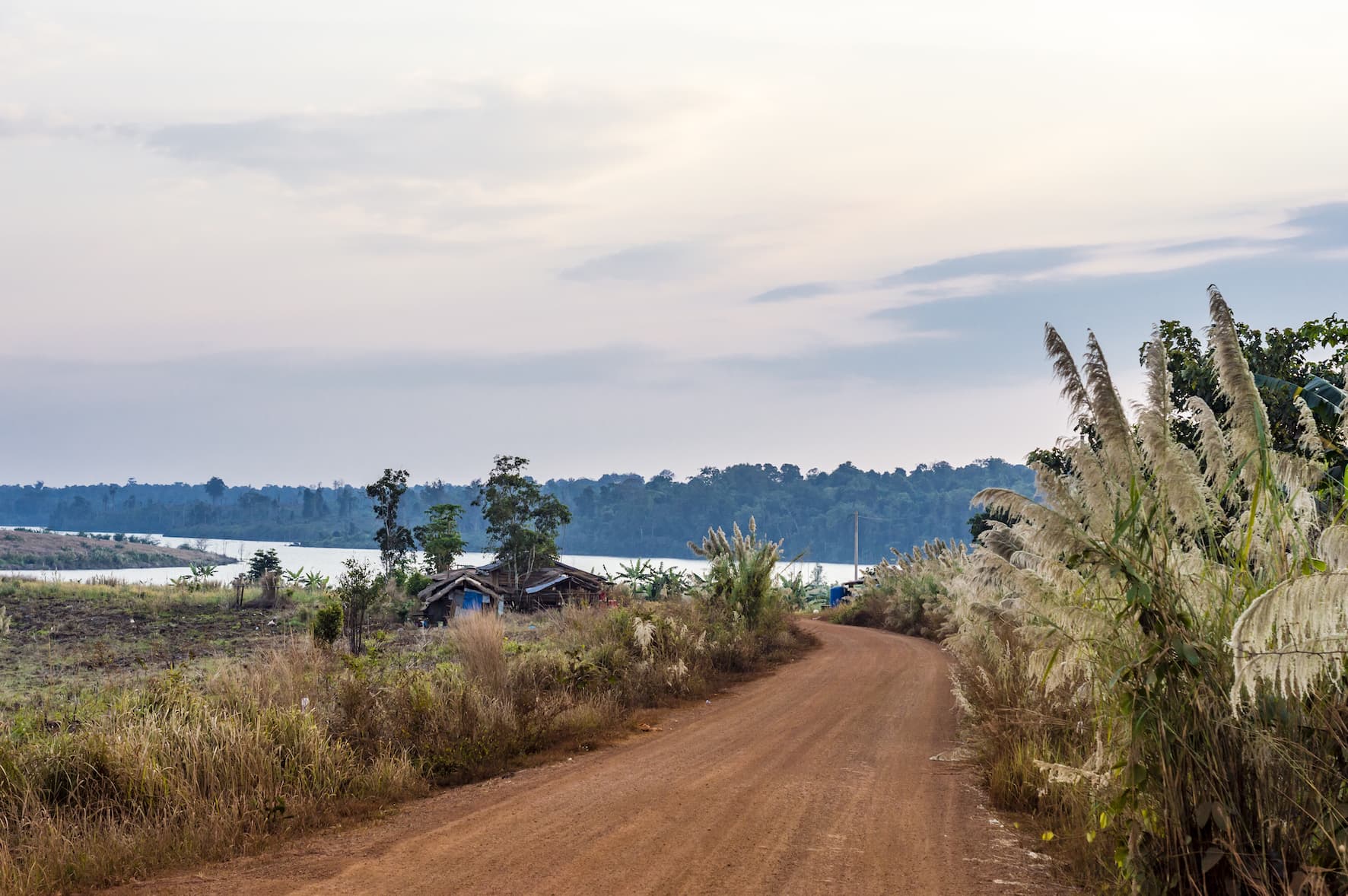 Cambodia, Land of Eight Newly Discovered Living Species