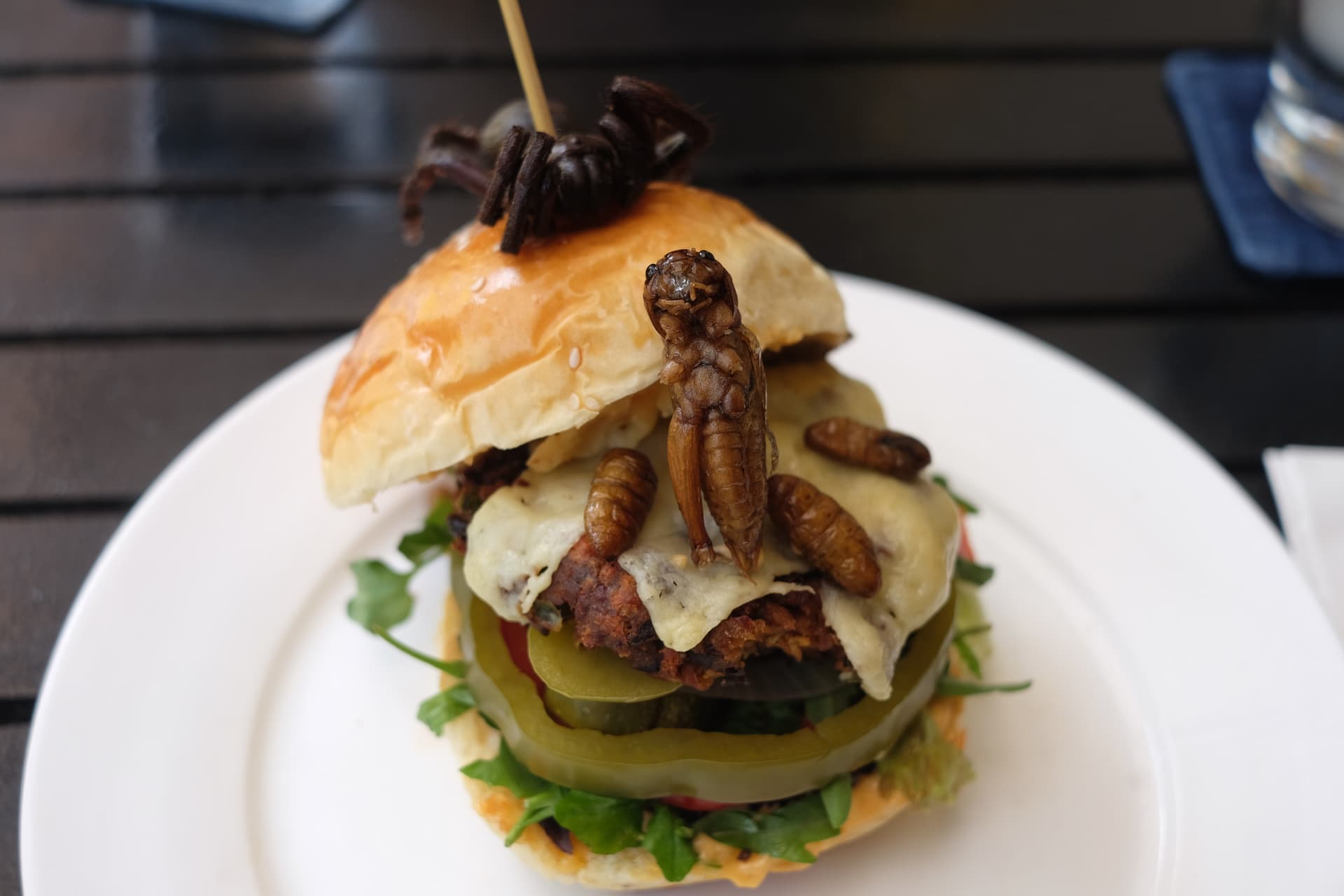The Bugs Burger of Phnom Penh