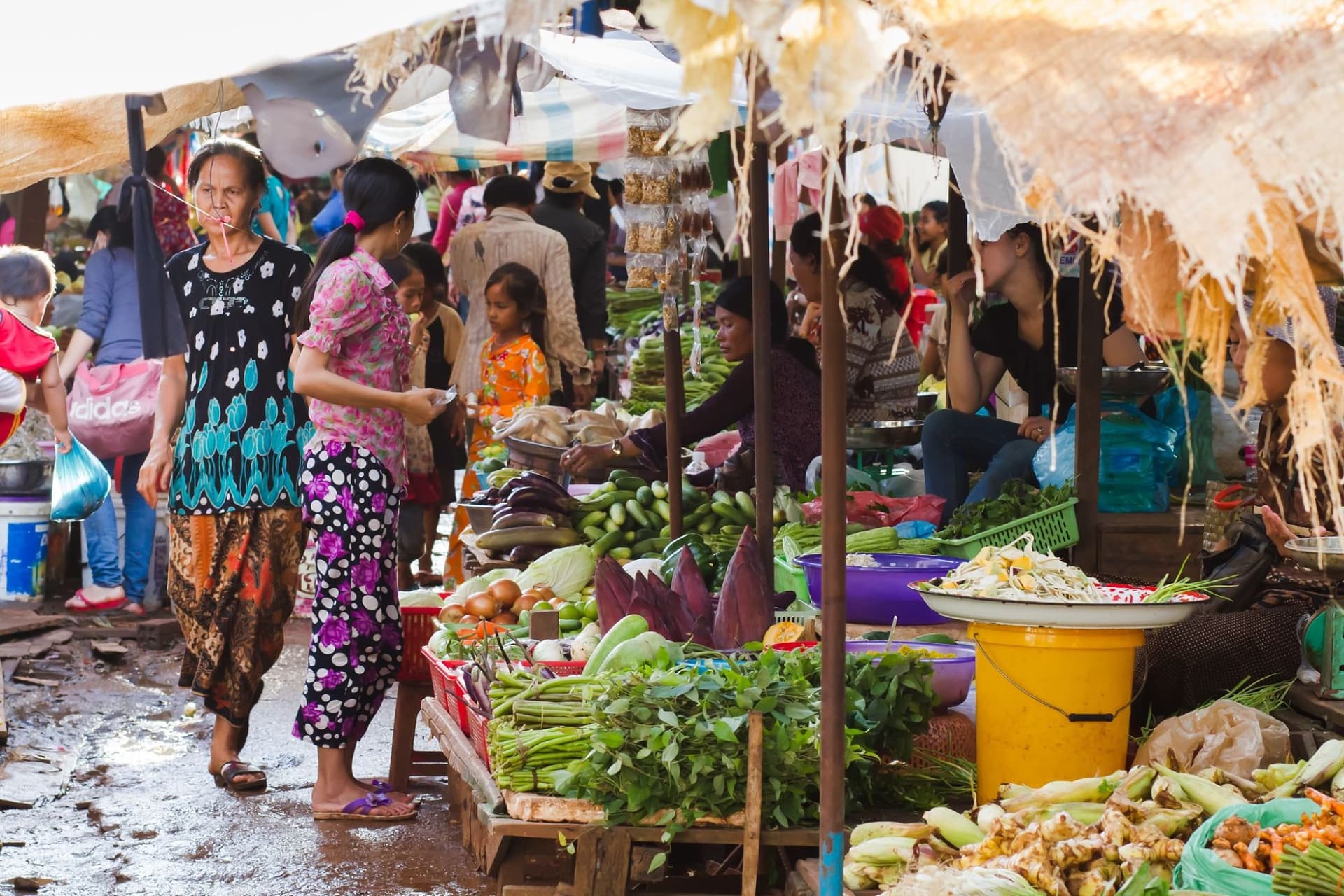 Cambodia Continues to Make Progress in Human Development