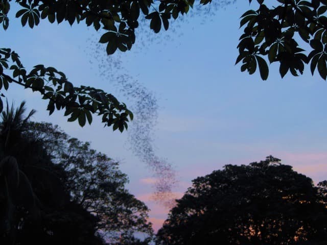 Phnom Sampov Mountain