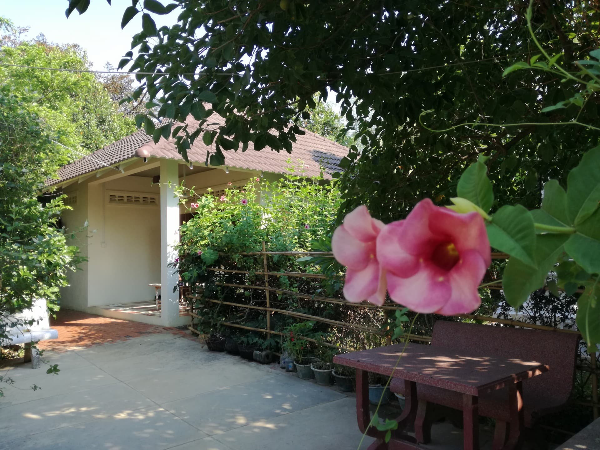 Mony Homestay & Bungalow