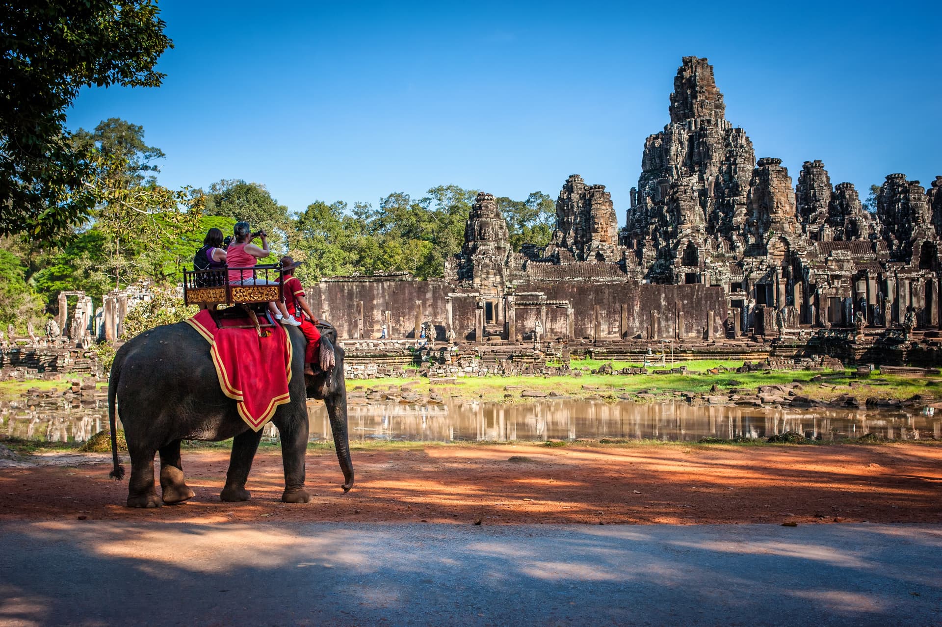 Here's why you shouldn't ride on the backs of elephants...