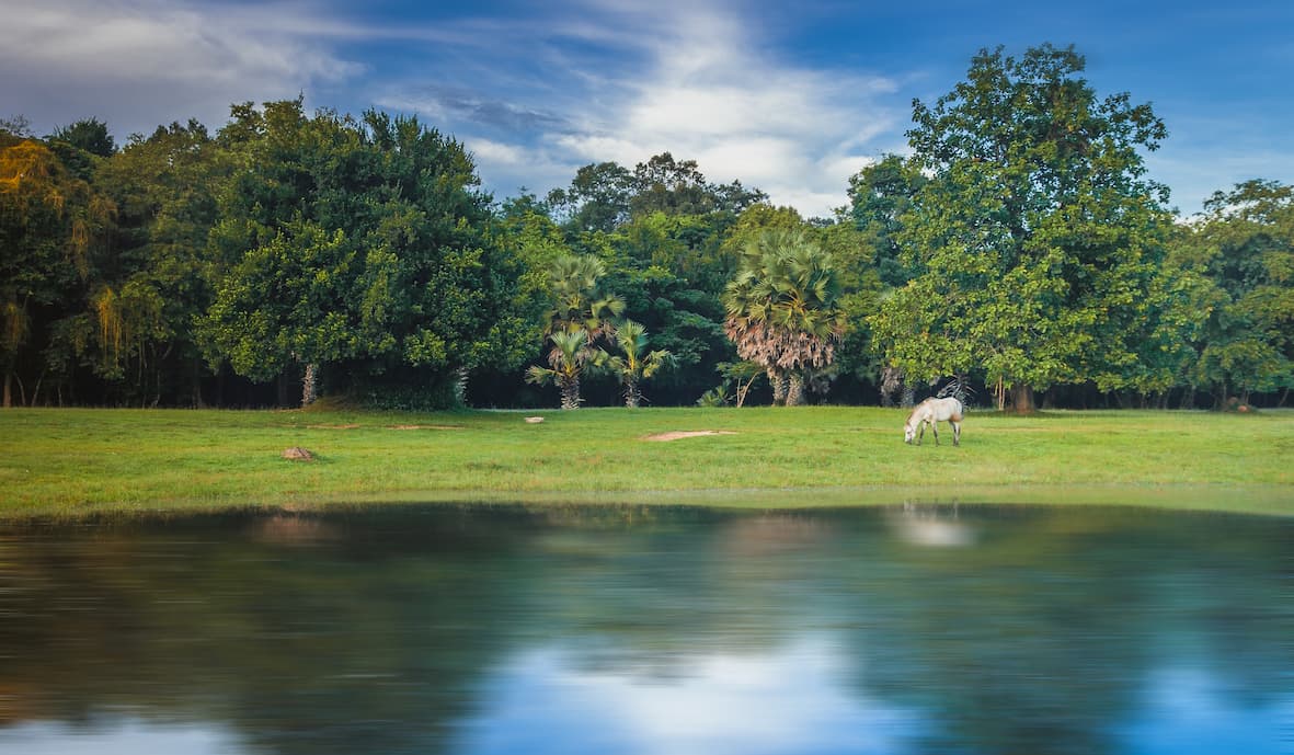 3 Off-the-Beaten-Path Adventures in Cambodia