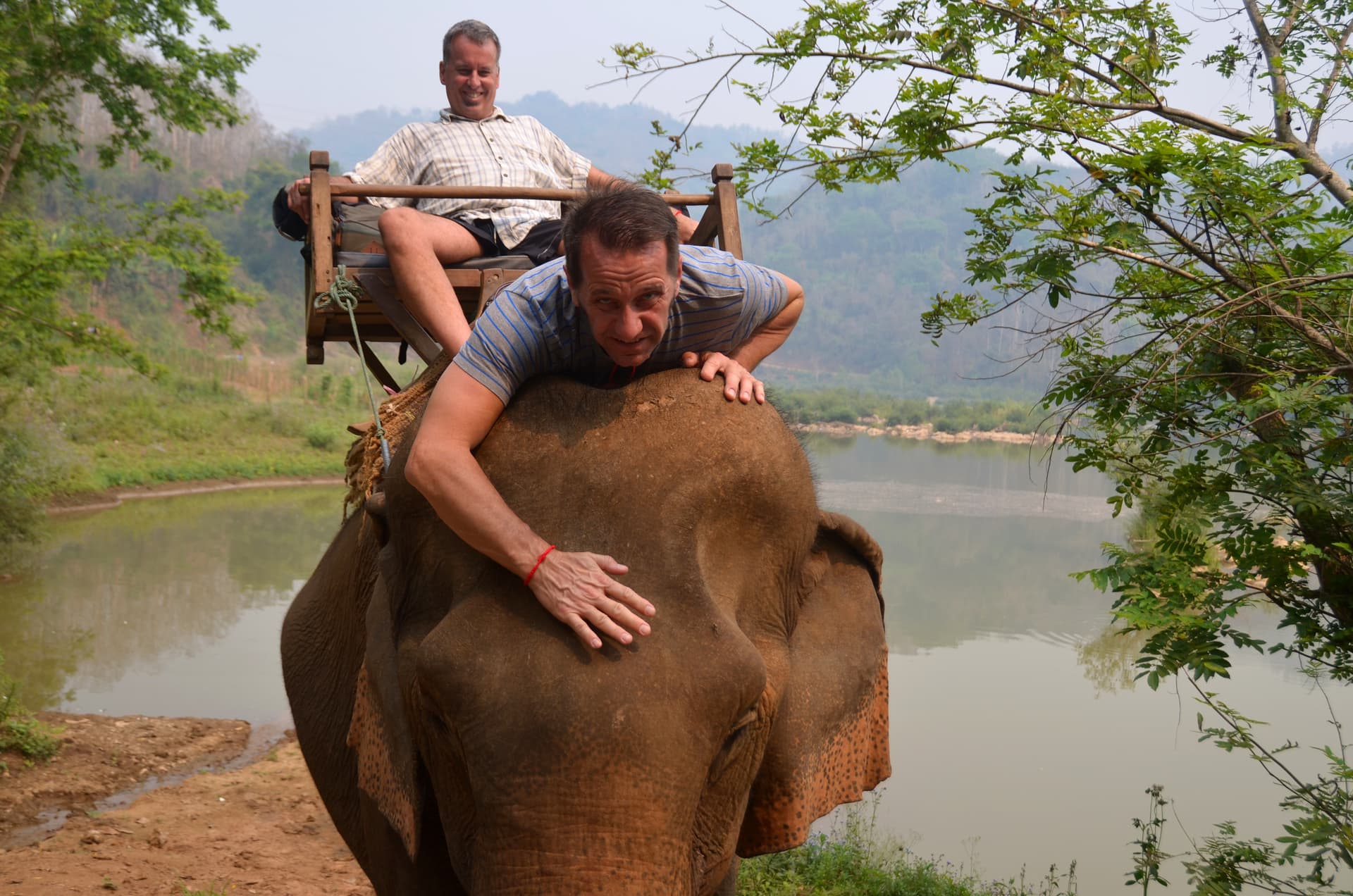 Elephant rides banned at Angkor