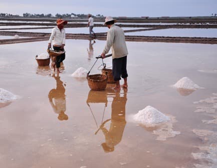 Kampot Salt Marshes