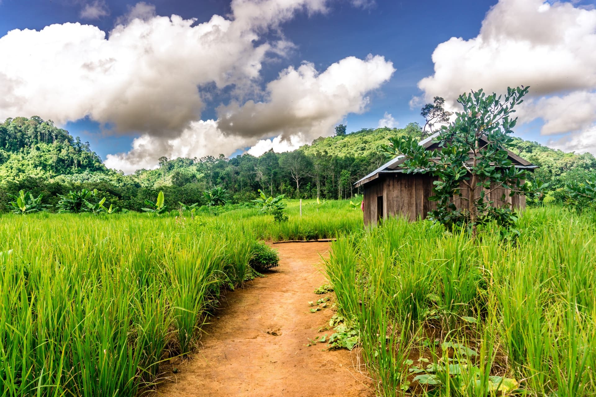 The 5 Most Beautiful Hiking Destinations in Cambodia