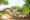 Stay in the Chi Phat Ecotourism Village: All activities