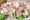 Lap Khmer: A fresh and easy recipe to prepare!